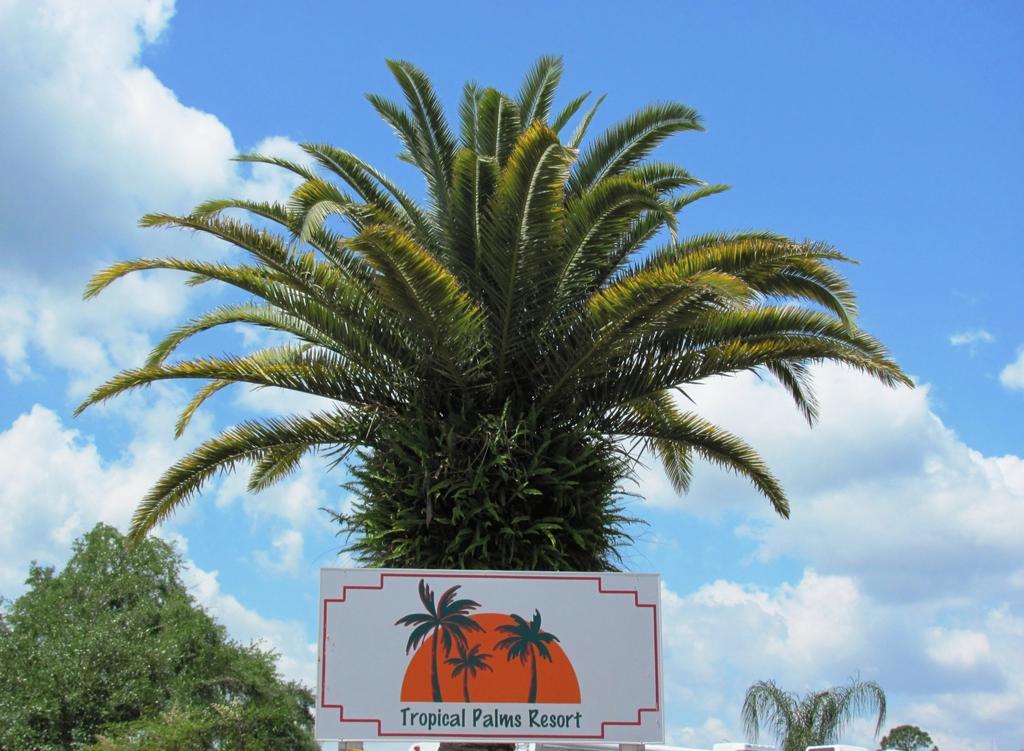 Tropical Palms Resort & Campground Kissimmee Buitenkant foto